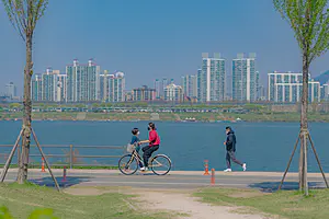 Căn hộ quận 7 view sông có đáng mua hơn không (Yếu tố tầm nhìn và cảnh quan thường tạo chênh lệch giá đáng kể ở quận 7. / Hỏi đáp: Căn hộ view sông có giá trị cao hơn bao nhiêu?)